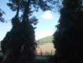 /album/soke%20ovac%c4%b1k%20foto%c4%9fraflar%c4%b1/aralik-ovacik-pencere-jpg/