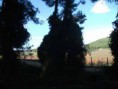 /album/soke%20ovac%c4%b1k%20foto%c4%9fraflar%c4%b1/aralik-ovacik-pencere1-jpg/
