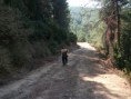 /album/resim-galerisi/zembil-kabak-jpg/