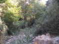 /album/resim-galerisi/zembil-ovacik-dere-jpg/