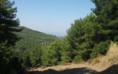 /album/resim-galerisi/zembil-ovacik-yol-jpg/