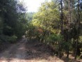 /album/resim-galerisi/zembil-ovacik-yol3-jpg/