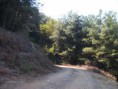 /album/resim-galerisi/zembil-ovacik-yol4-jpg/