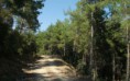 /album/resim-galerisi/zembil-ovacik-yol5-jpg/