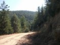 /album/resim-galerisi/zembil-ovacik-yol6-jpg/