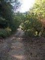 /album/resim-galerisi/zembil-ovacik-yol7-jpg/
